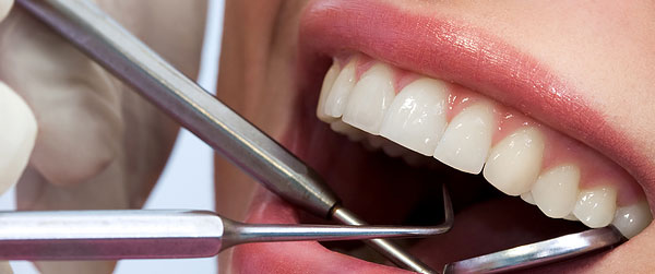 dental-mb